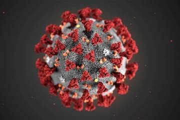 Важная информация о COVID-19